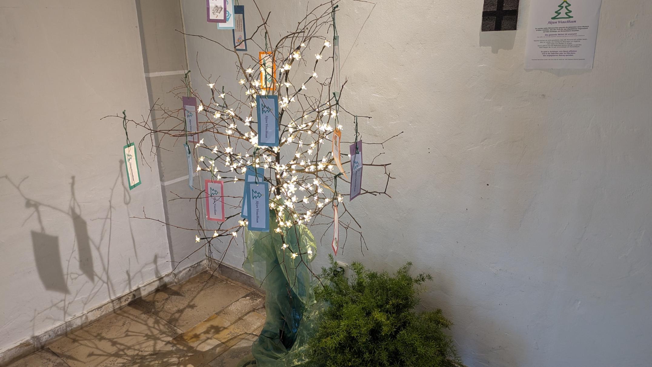 Aktion Wunschbaum 2025