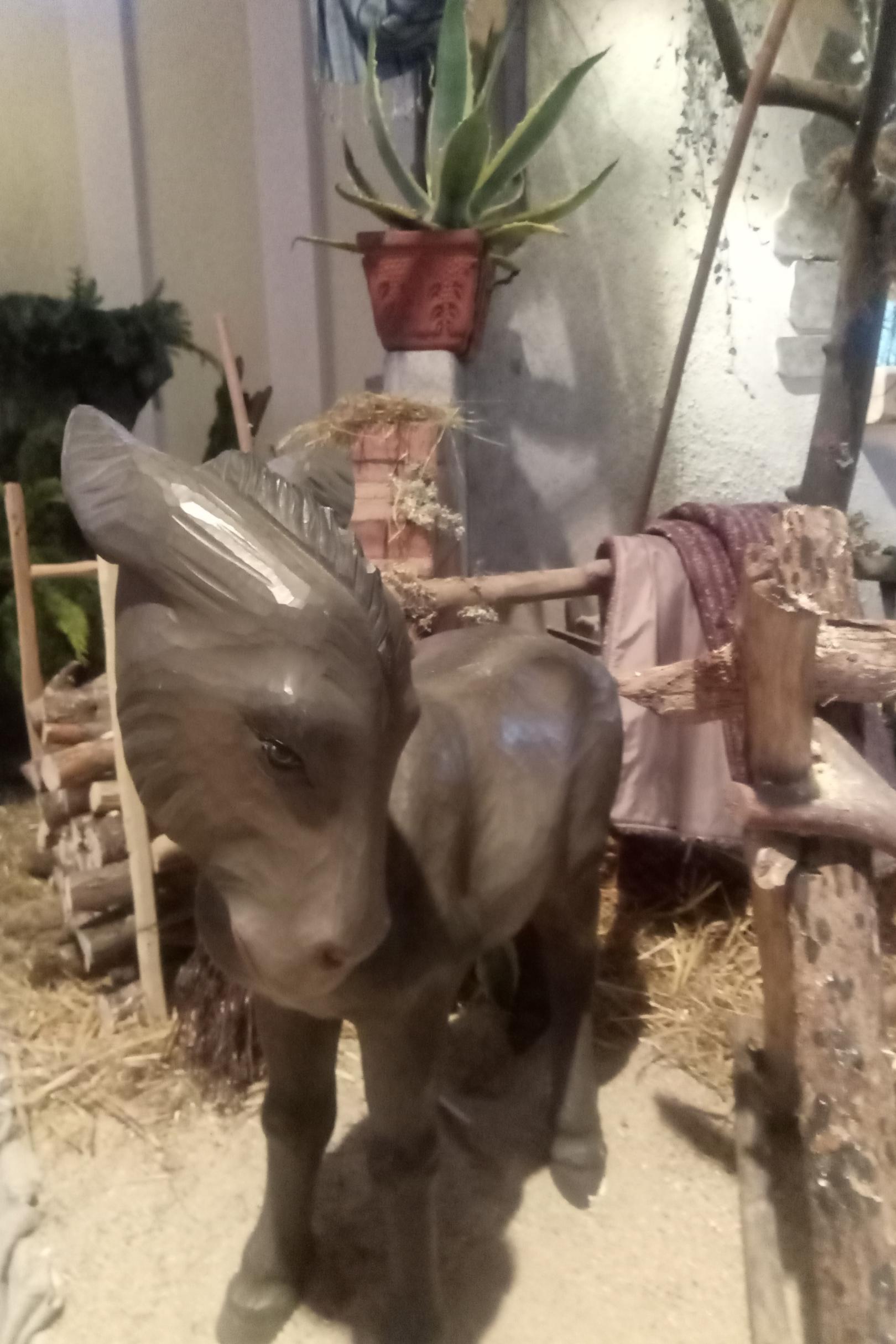 2025_6_Krippe_Könige-kommen_07