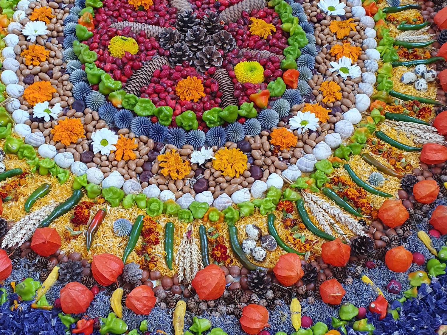 Reiche Ernte