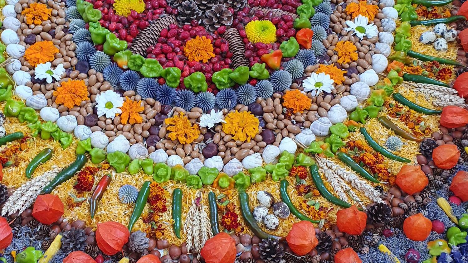 Reiche Ernte