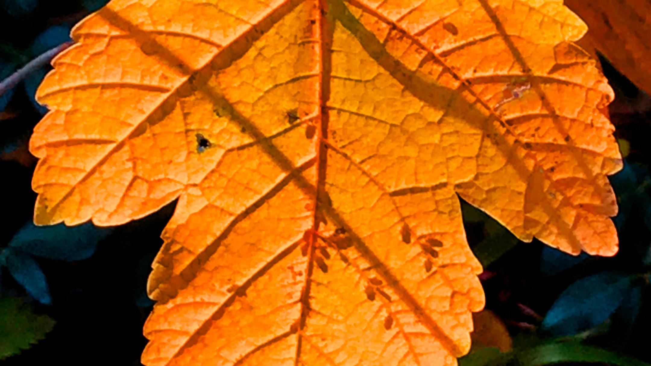 blattgold_by_Christiane_Raabe_pfarrbriefservice