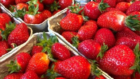Erdbeeren