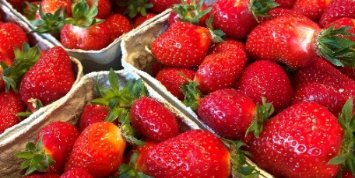 Erdbeeren