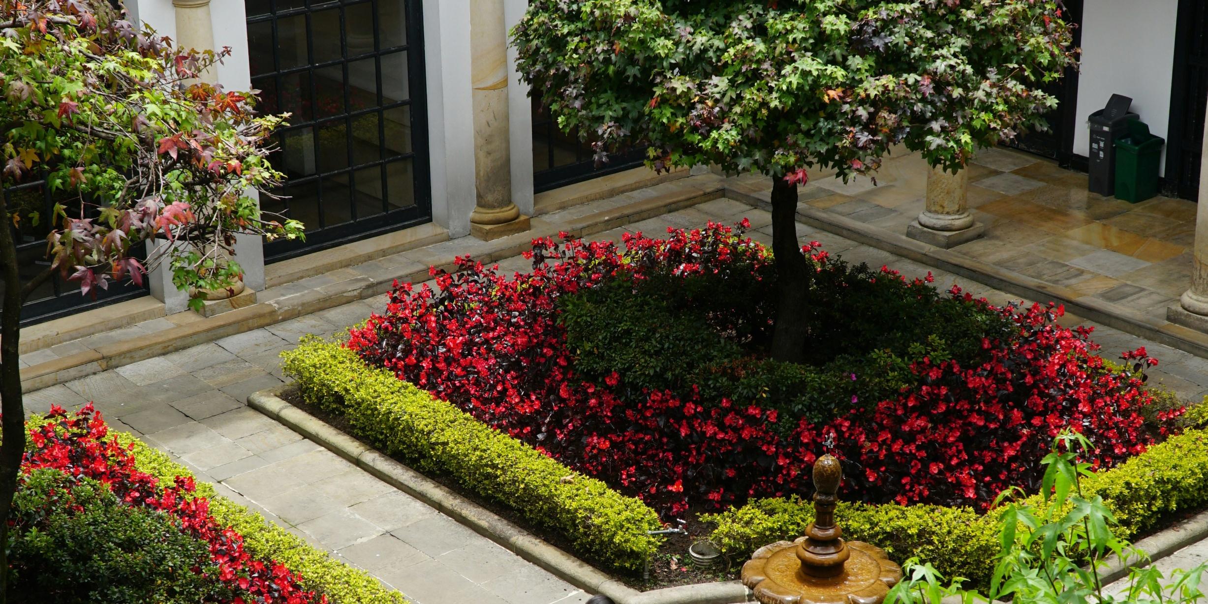 Garten (c) Foto von Leon Beckert auf Unsplash Garten